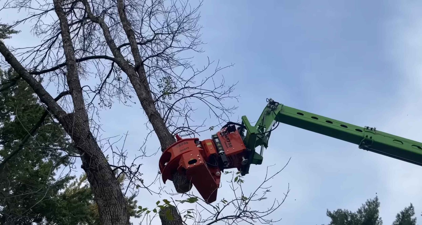 Tree trimming and pruning service using aerial equipment in Laguna Niguel